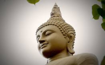 Quán chúng sinh